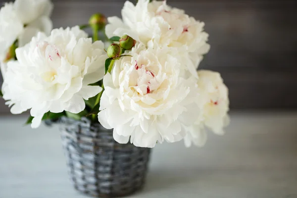 Bellissimo bouquet di peonie bianche — Foto Stock