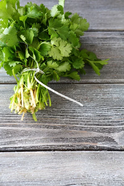 Fresh cilantro on wooden boards — Stock Photo, Image