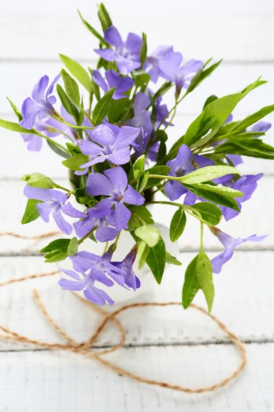 Flores azuis de primavera em uma tábua de madeira branca — Fotografia de Stock