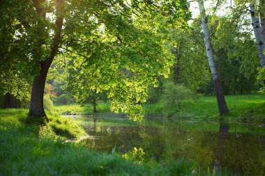 Bahar sunset bulvarında göl manzara