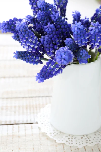 Hyacinth in a white vase — Stock Photo, Image