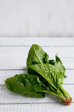 Taze ıspanak yaprakları kurullarında