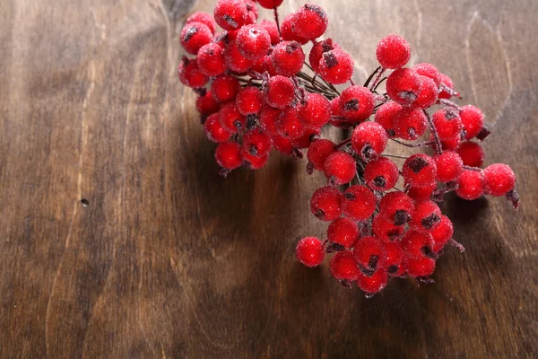 Artificial rowanberry on the table — Stock Photo, Image