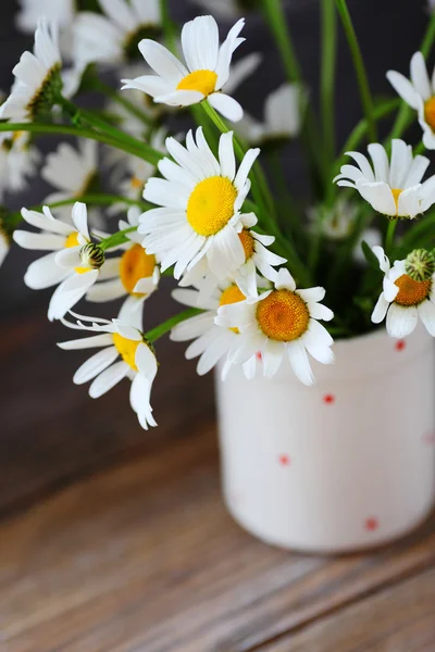 在白色的花瓶美丽雏菊 — 图库照片