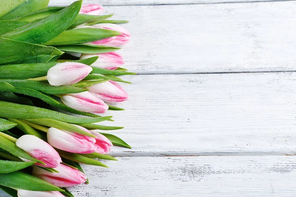 Frühling Hintergrund mit Tulpen — Stockfoto