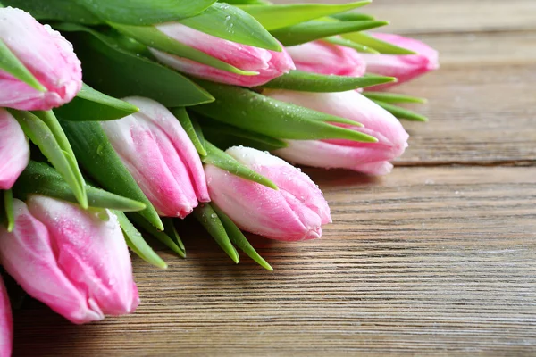 Свіжі pin тюльпани — стокове фото