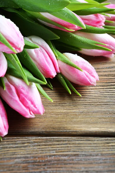 Primeros planos de flores frescas — Foto de Stock