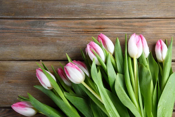 Sekelompok tulip segar di papan kayu — Stok Foto
