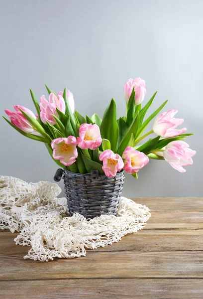 Tulipanes frescos de primavera en cubo — Foto de Stock