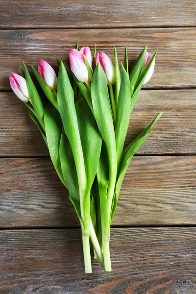 Ramo de tulipanes rosados — Foto de Stock