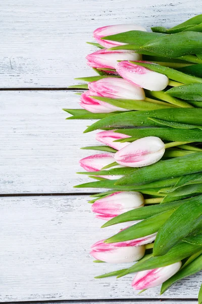 Frische rosa Tulpen auf Brettern — Stockfoto