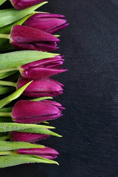 Schöne Tulpen auf Schiefer — Stockfoto