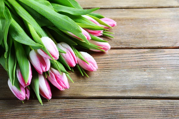 Schöner Strauß frischer Tulpen — Stockfoto