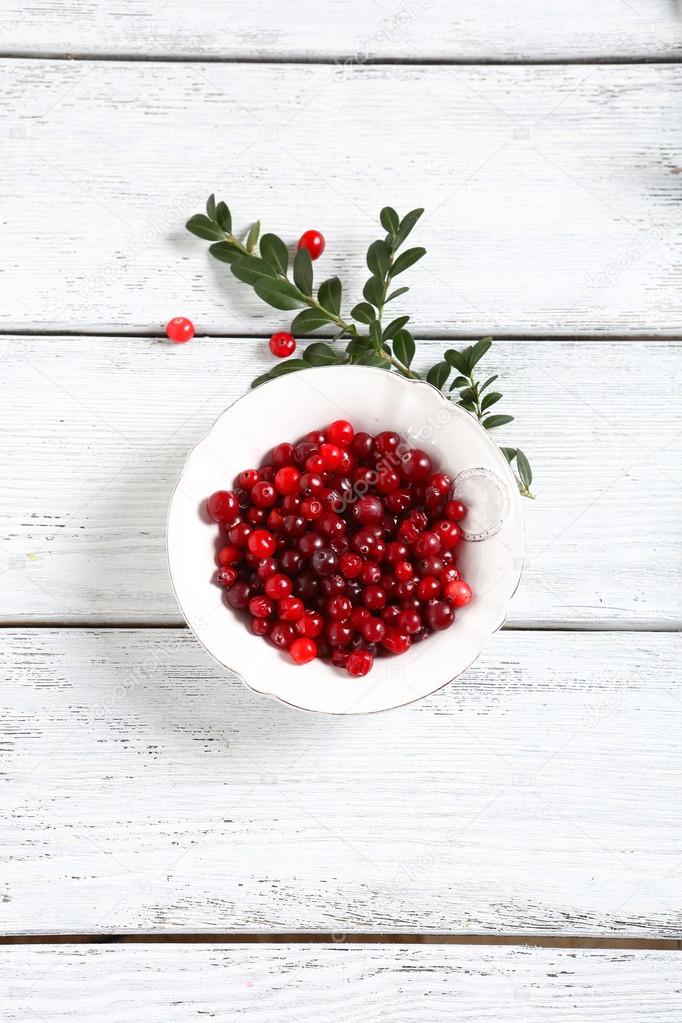 Cranberries in a white bowl with branch