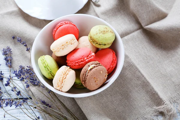 Delicious macaroon in a bowl — Stock Photo, Image