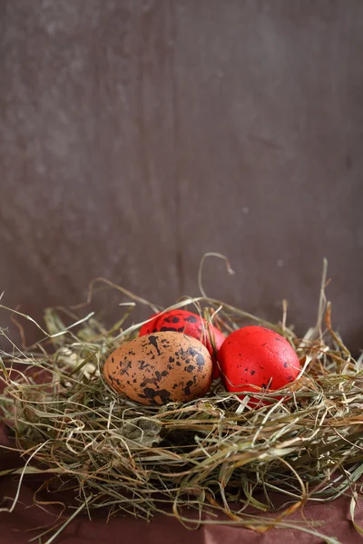 Easter composition with eggs — Stock Photo, Image