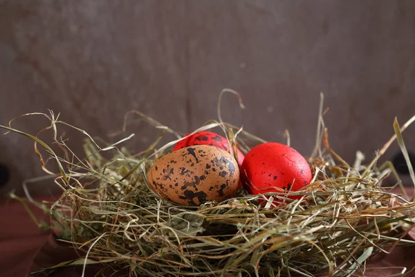 Colored eggs on the hay — Stock Photo, Image