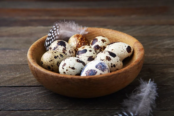 Eier und Federn in einer Schüssel — Stockfoto