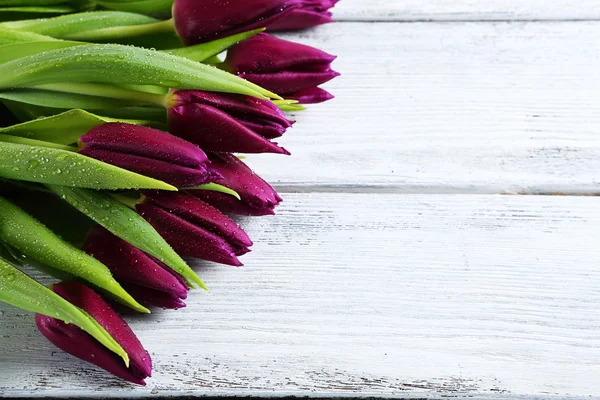 Tulpen auf weißen Brettern — Stockfoto