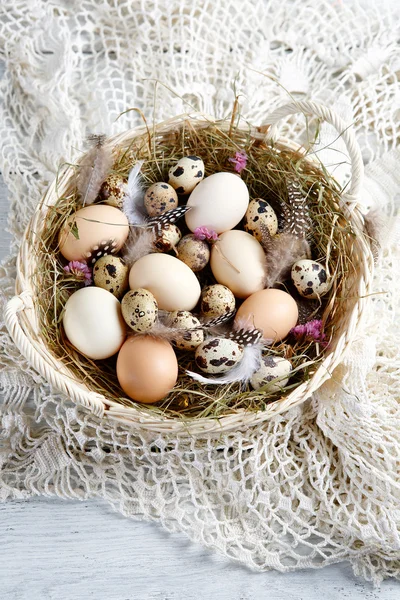 Eggs in basket — Stock Photo, Image