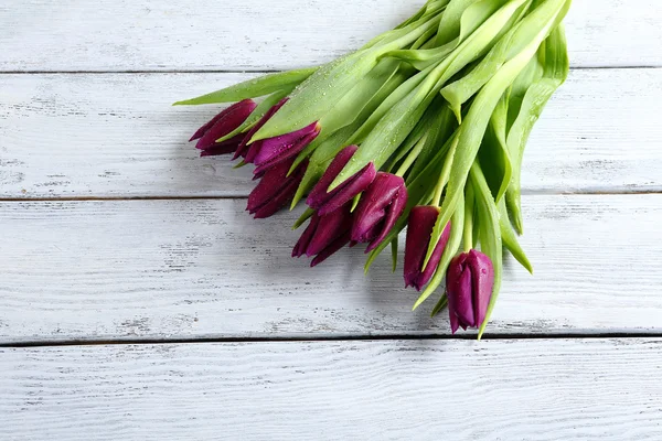 Tulips on white boards — Stock Photo, Image