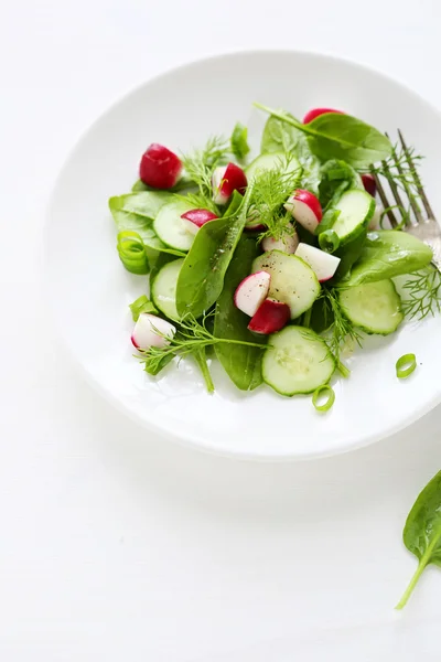 Frischer Sommersalat — Stockfoto