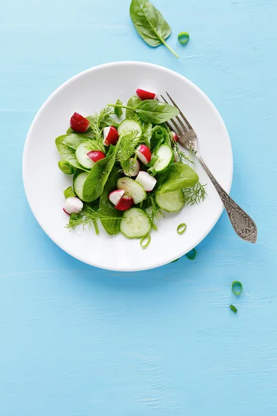 Verse salade met radijs — Stockfoto