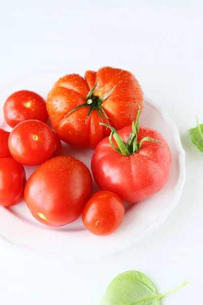 Tomates verdes frescos na placa branca — Fotografia de Stock