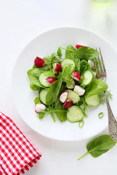 Verse voeding salade op plaat — Stockfoto