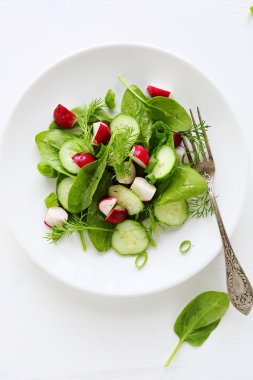 taze ve hafif salata