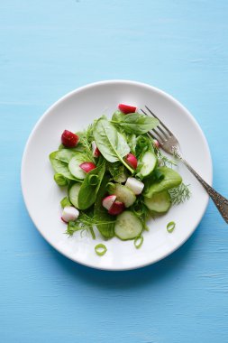 plaka üzerinde genç turp salatası