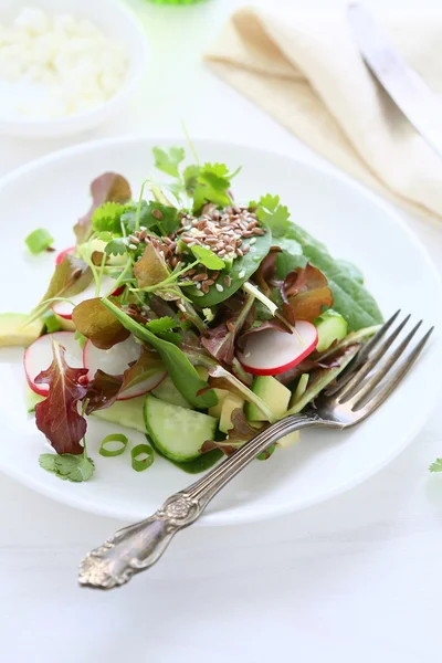 Voorjaar salade met avocado — Stockfoto