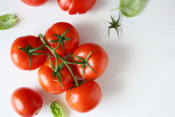 Ripe tomatoes on branch — Stock Photo, Image