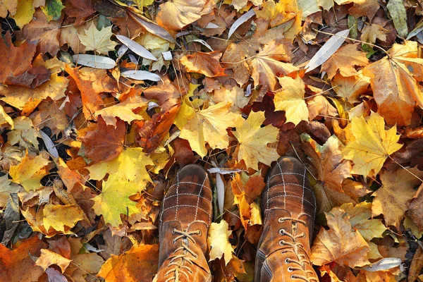 Herbstblätter und Stiefel — Stockfoto