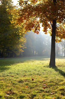 Park Sonbahar sezon