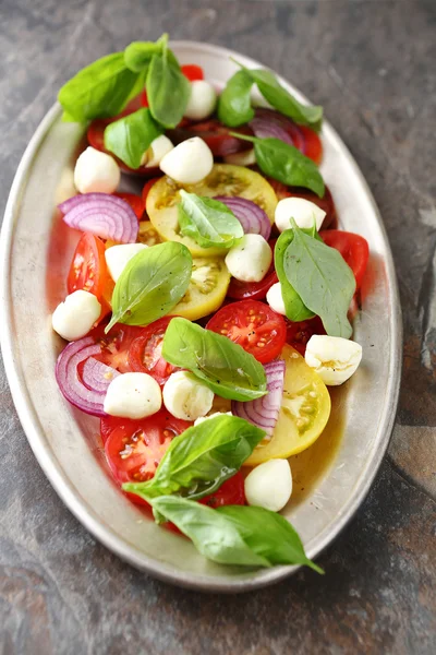 Salade met kaas en tomaten — Stockfoto