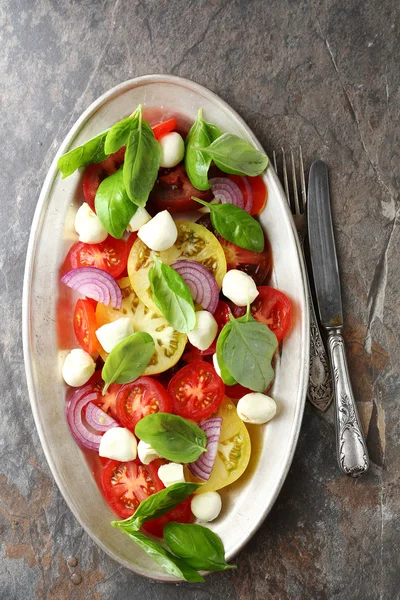 Salada caprese em prato grande — Fotografia de Stock