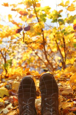 sonbahar yaprakları ve botları