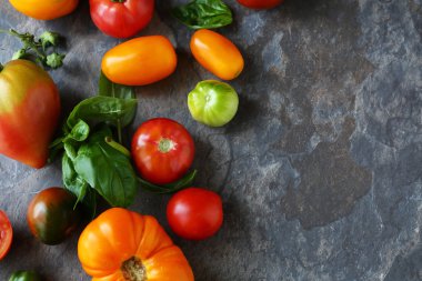 Taze ve olgun domatesler