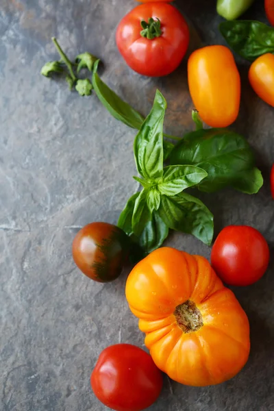 Свежие помидоры и базилик — стоковое фото