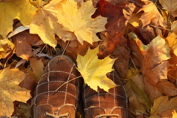 Schöne Herbstblätter und Stiefel — Stockfoto