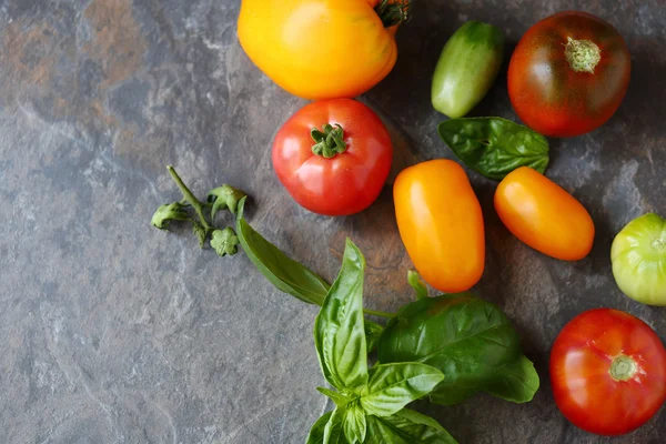 Pomodori e foglie di basilico fresche — Foto Stock