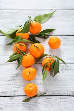 Olgun tangarines panoları