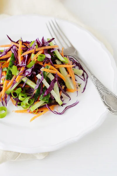 Salát s mrkví a zelí — Stock fotografie