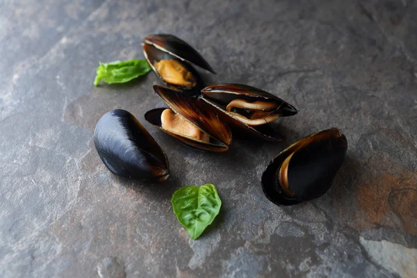 Mejillones negros crudos — Foto de Stock