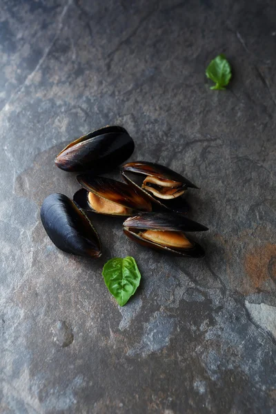 Koken van schaal-en schelpdieren, mosselen in de shell — Stockfoto