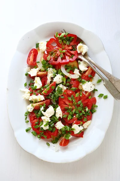 Салат с помидорами и зеленью — стоковое фото