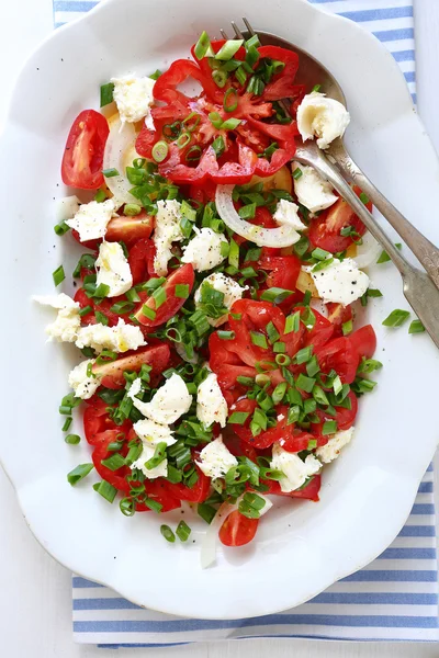 Sommersalat mit Tomaten — Stockfoto