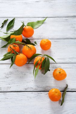 taze olgun tangarines ve yaprakları