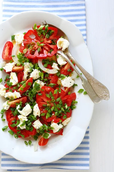 Летний салат с помидорами и сыром — стоковое фото